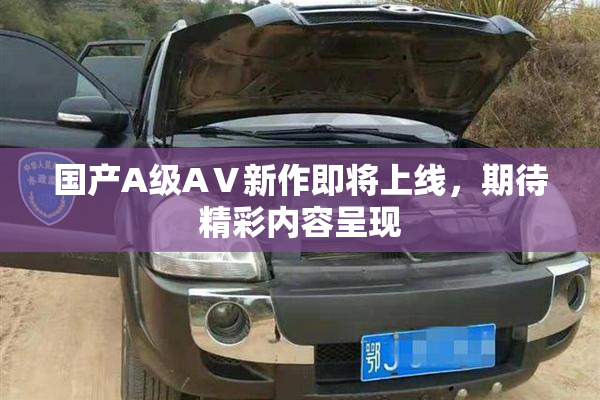 国产A级AⅤ新作即将上线，期待精彩内容呈现