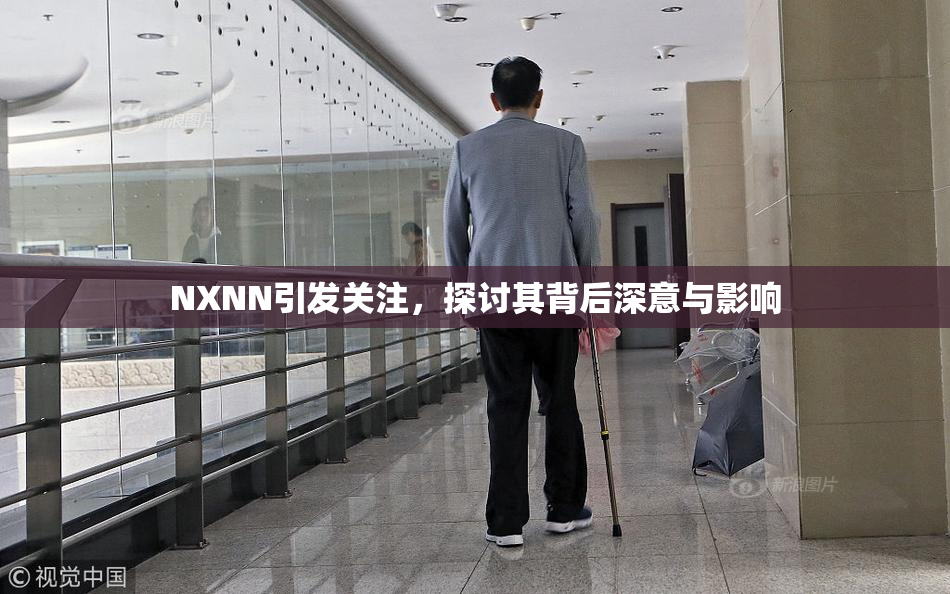 NXNN引发关注，探讨其背后深意与影响