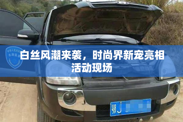 白丝风潮来袭，时尚界新宠亮相活动现场