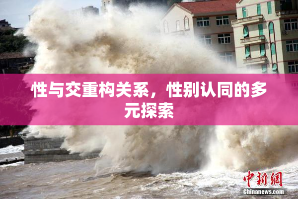 性与交重构关系，性别认同的多元探索