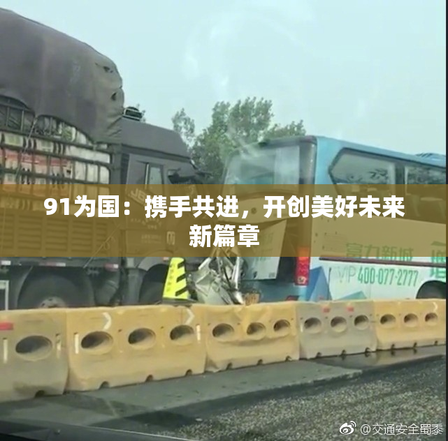 91为国：携手共进，开创美好未来新篇章