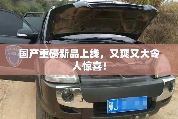 国产重磅新品上线，又爽又大令人惊喜！