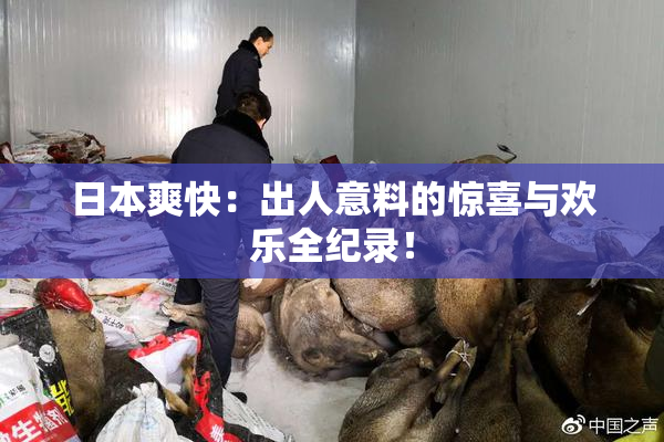 日本爽快：出人意料的惊喜与欢乐全纪录！