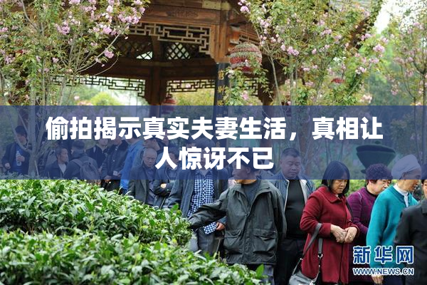 偷拍揭示真实夫妻生活，真相让人惊讶不已