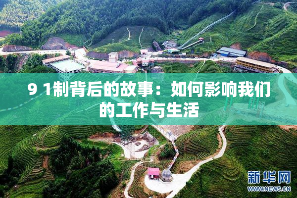 9 1制背后的故事：如何影响我们的工作与生活