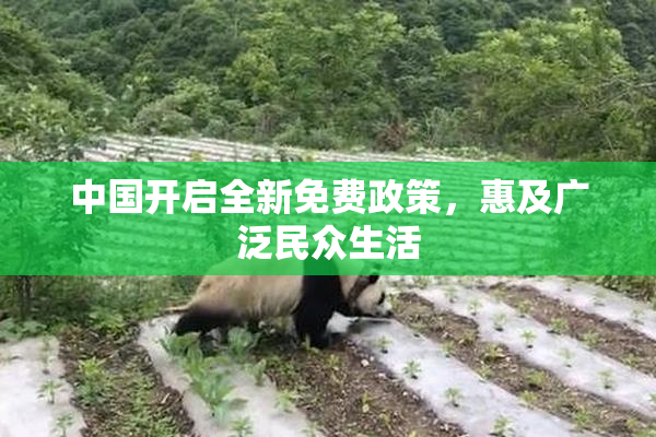 中国开启全新免费政策，惠及广泛民众生活