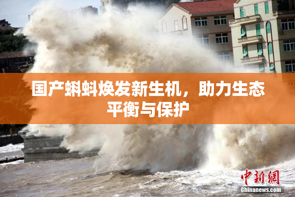 国产蝌蚪焕发新生机，助力生态平衡与保护