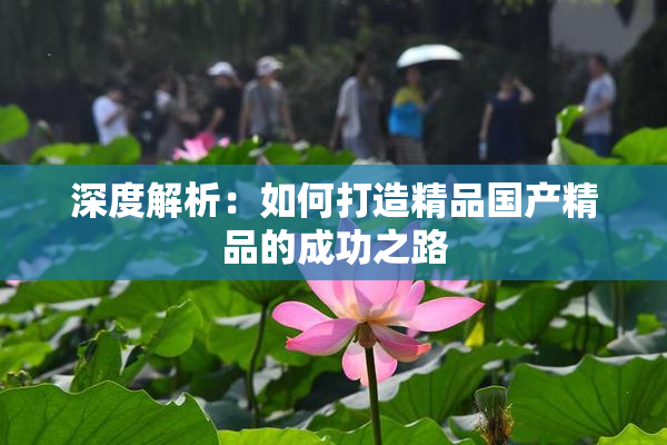 深度解析：如何打造精品国产精品的成功之路