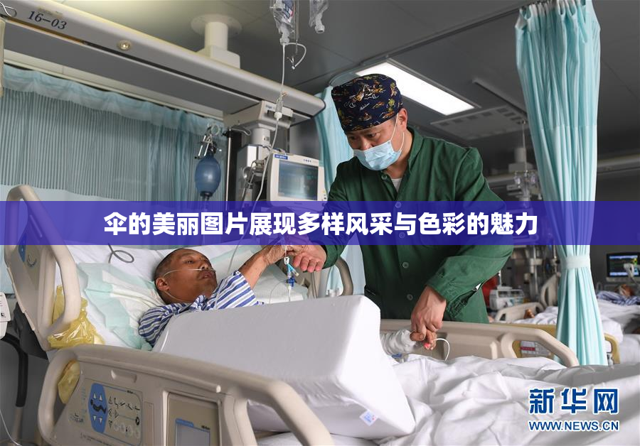 伞的美丽图片展现多样风采与色彩的魅力