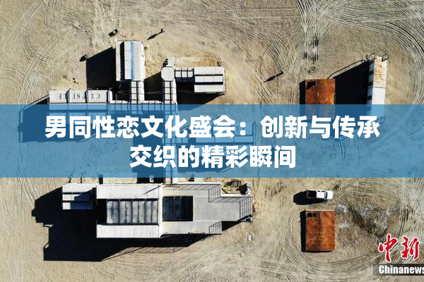 男同性恋文化盛会：创新与传承交织的精彩瞬间