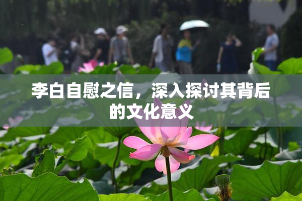 李白自慰之信，深入探讨其背后的文化意义