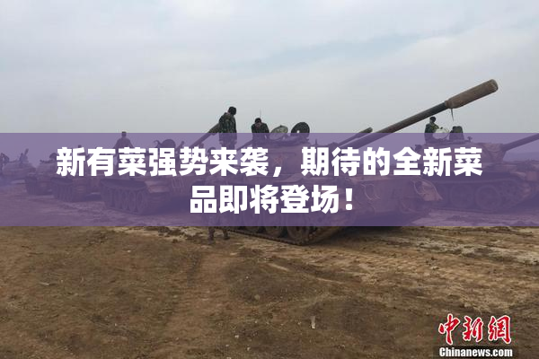 新有菜强势来袭，期待的全新菜品即将登场！