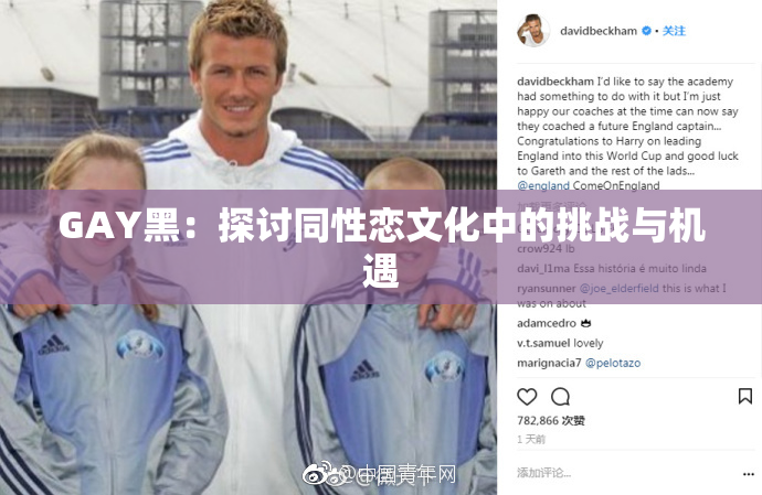 GAY黑：探讨同性恋文化中的挑战与机遇