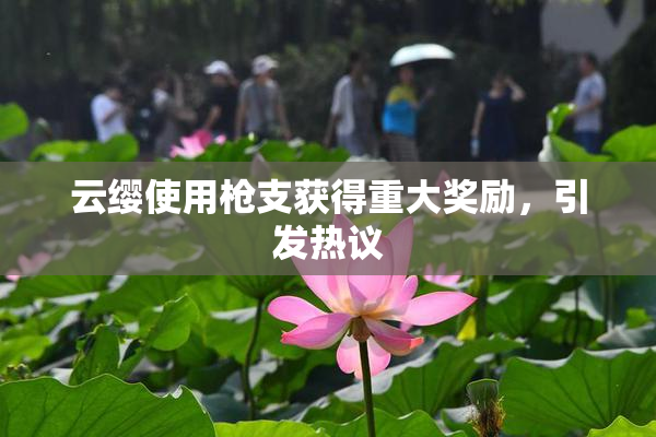云缨使用枪支获得重大奖励，引发热议