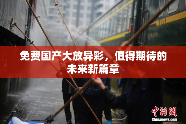免费国产大放异彩，值得期待的未来新篇章