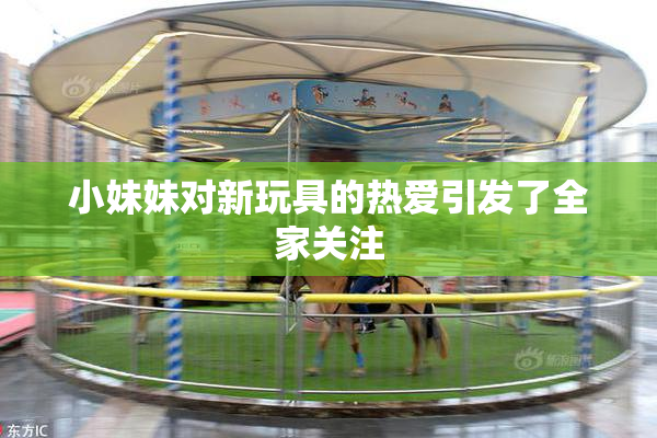 小妹妹对新玩具的热爱引发了全家关注