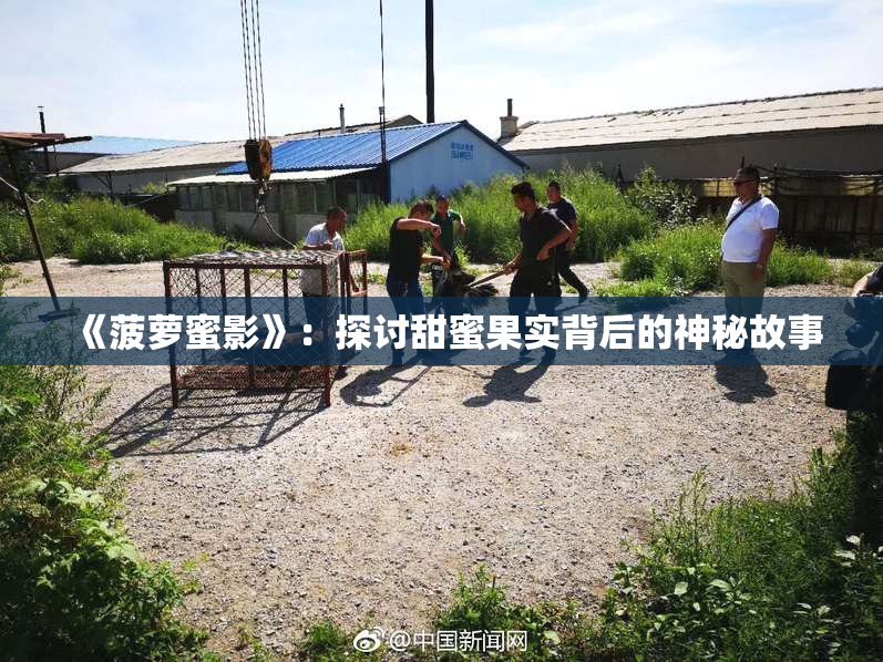 《菠萝蜜影》：探讨甜蜜果实背后的神秘故事