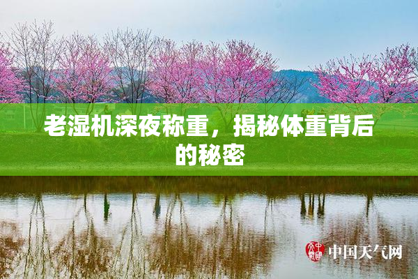 老湿机深夜称重，揭秘体重背后的秘密