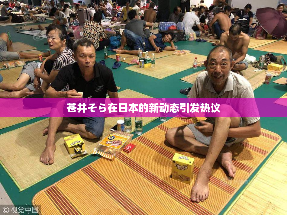 苍井そら在日本的新动态引发热议