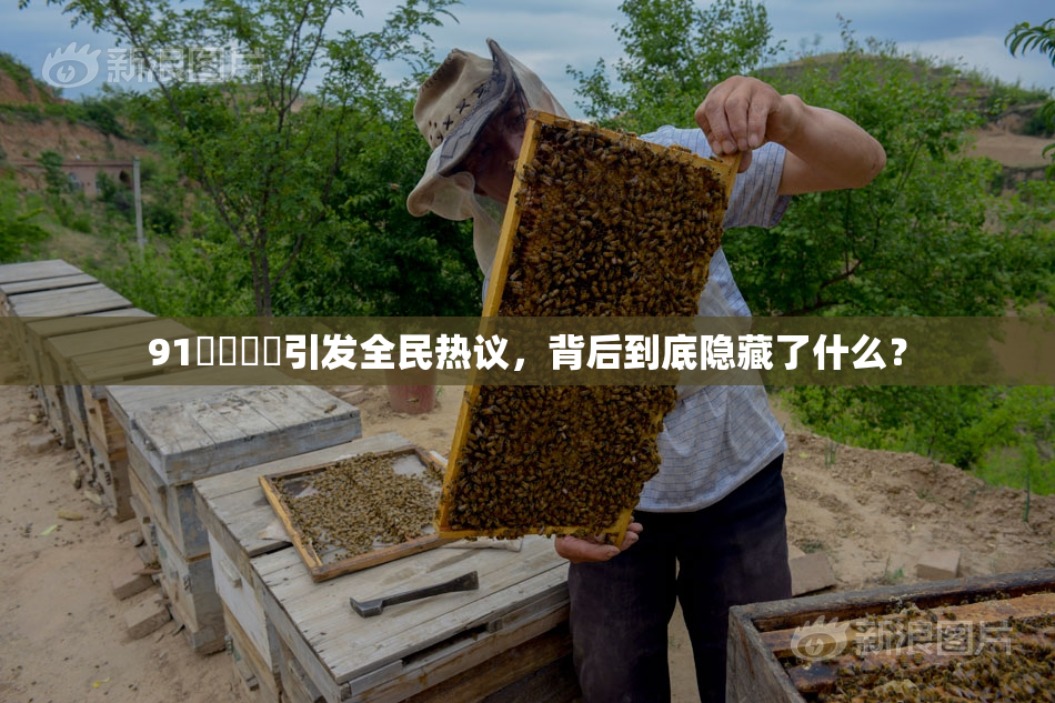 91❌‌❌‌引发全民热议，背后到底隐藏了什么？