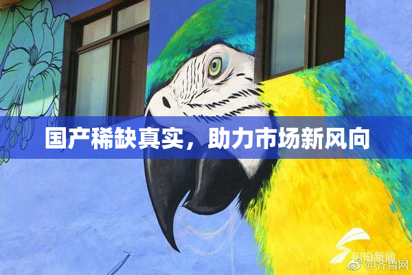 国产稀缺真实，助力市场新风向