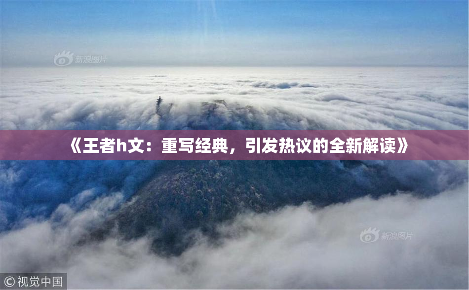 《王者h文：重写经典，引发热议的全新解读》