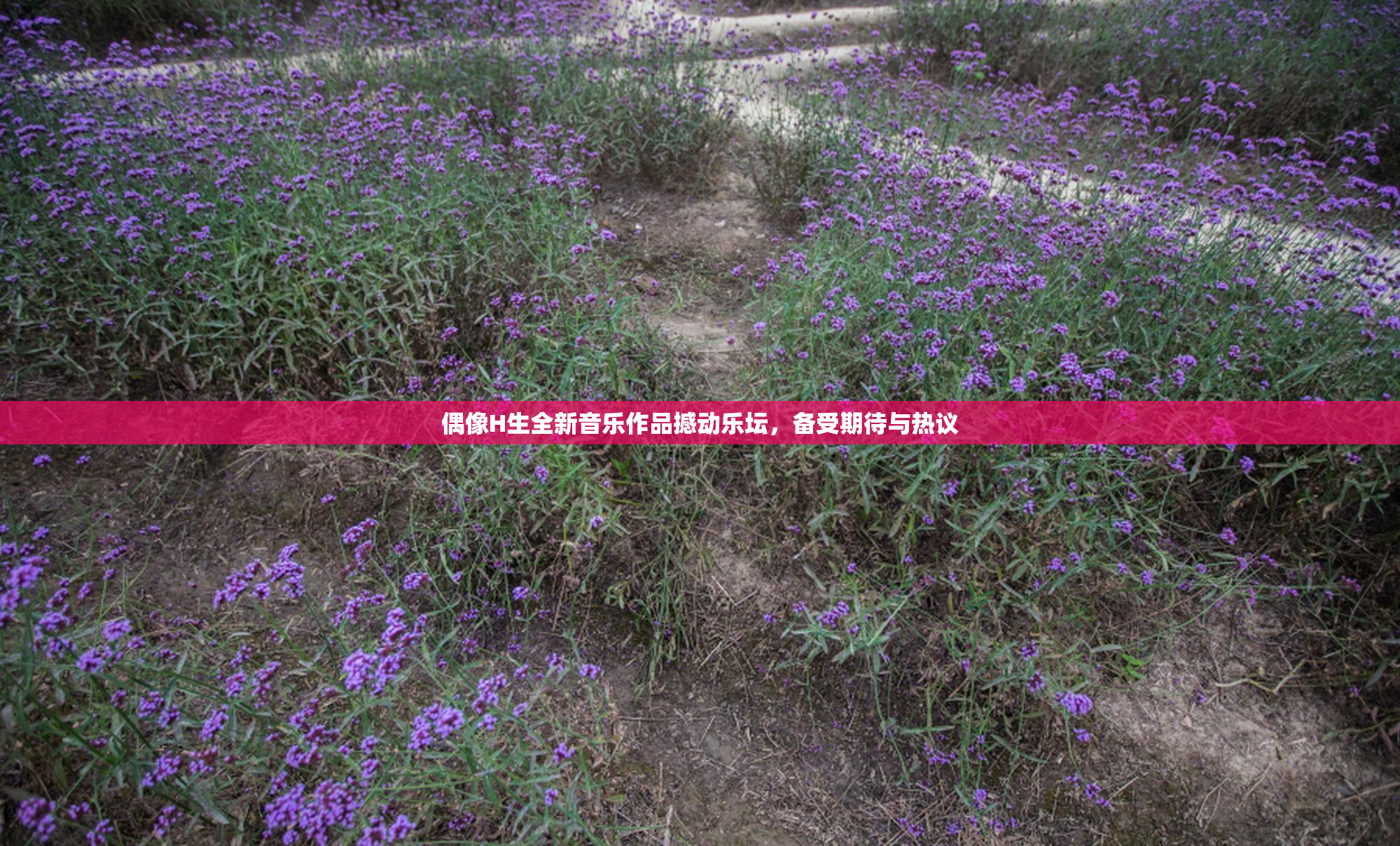 偶像H生全新音乐作品撼动乐坛，备受期待与热议