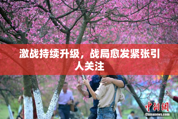 激战持续升级，战局愈发紧张引人关注