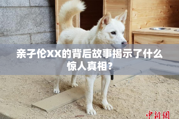 亲孑伦XX的背后故事揭示了什么惊人真相？