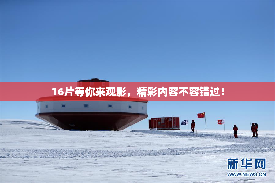 16片等你来观影，精彩内容不容错过！