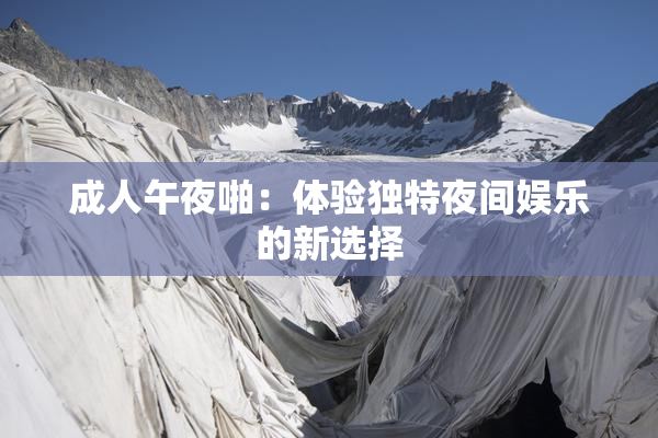 成人午夜啪：体验独特夜间娱乐的新选择