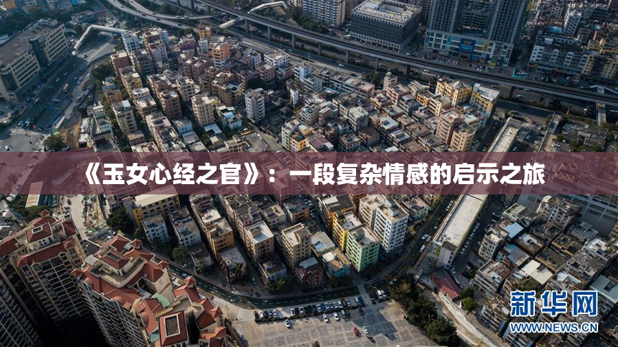 《玉女心经之官》：一段复杂情感的启示之旅