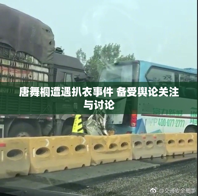 唐舞桐遭遇扒衣事件 备受舆论关注与讨论