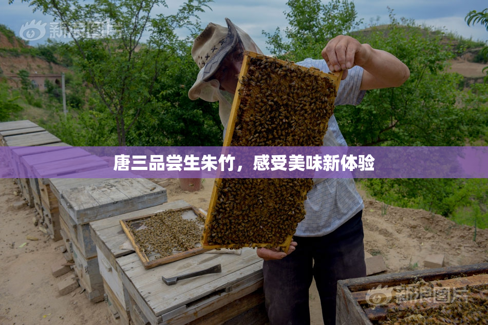 唐三品尝生朱竹，感受美味新体验