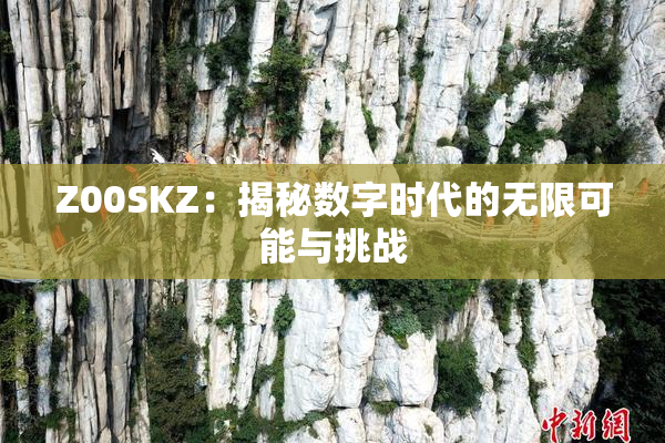 Z00SKZ：揭秘数字时代的无限可能与挑战