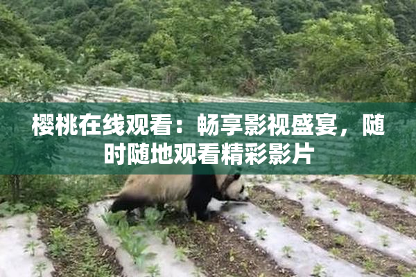 樱桃在线观看：畅享影视盛宴，随时随地观看精彩影片