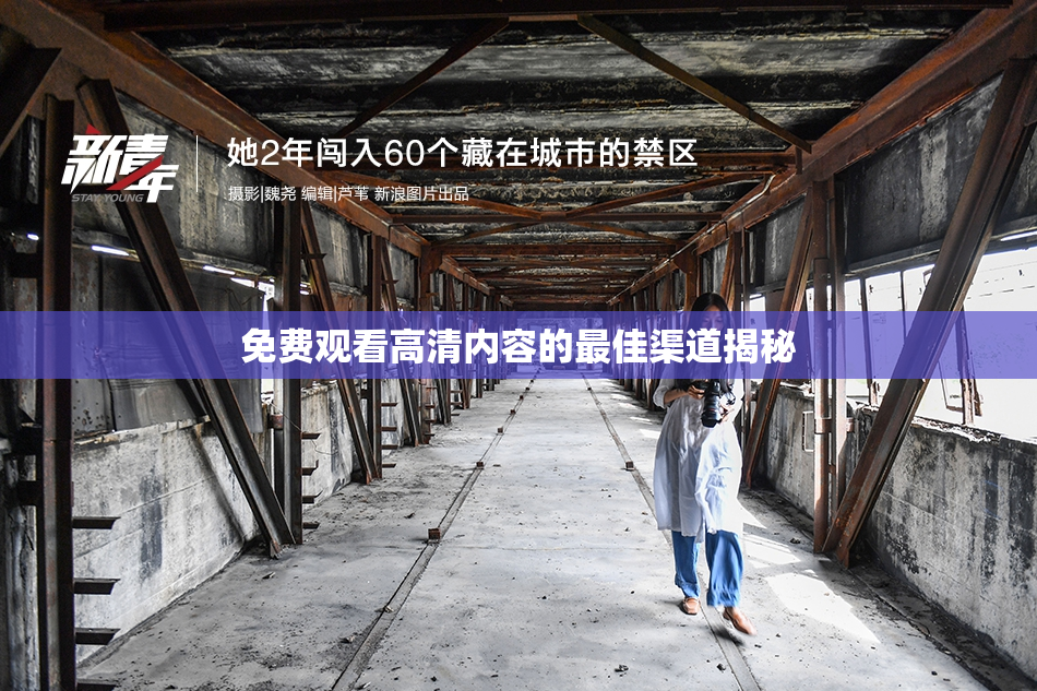 免费观看高清内容的最佳渠道揭秘