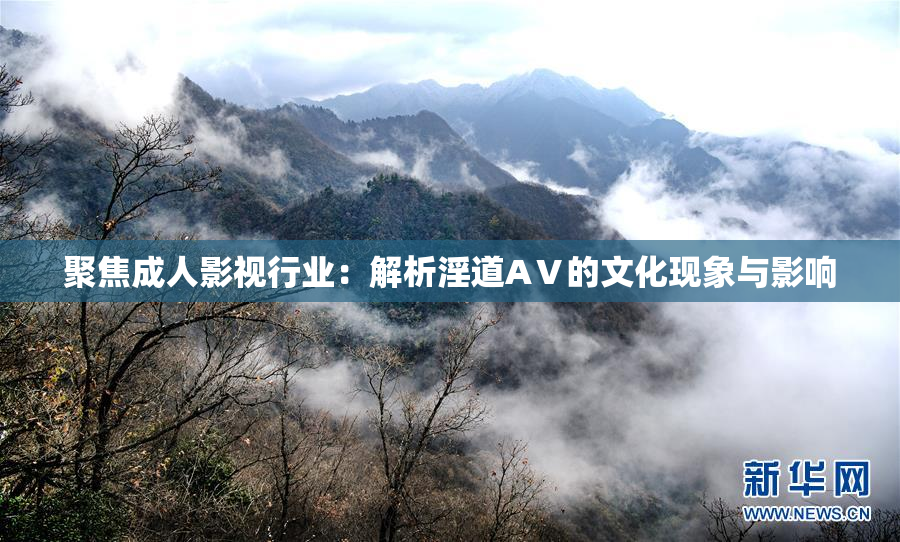 聚焦成人影视行业：解析淫道AⅤ的文化现象与影响