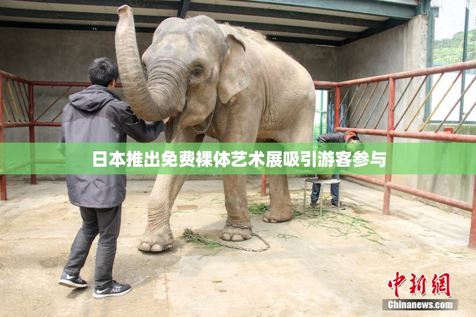 日本推出免费裸体艺术展吸引游客参与