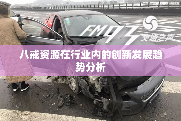 八戒资源在行业内的创新发展趋势分析