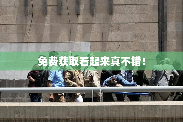 免费获取看起来真不错！