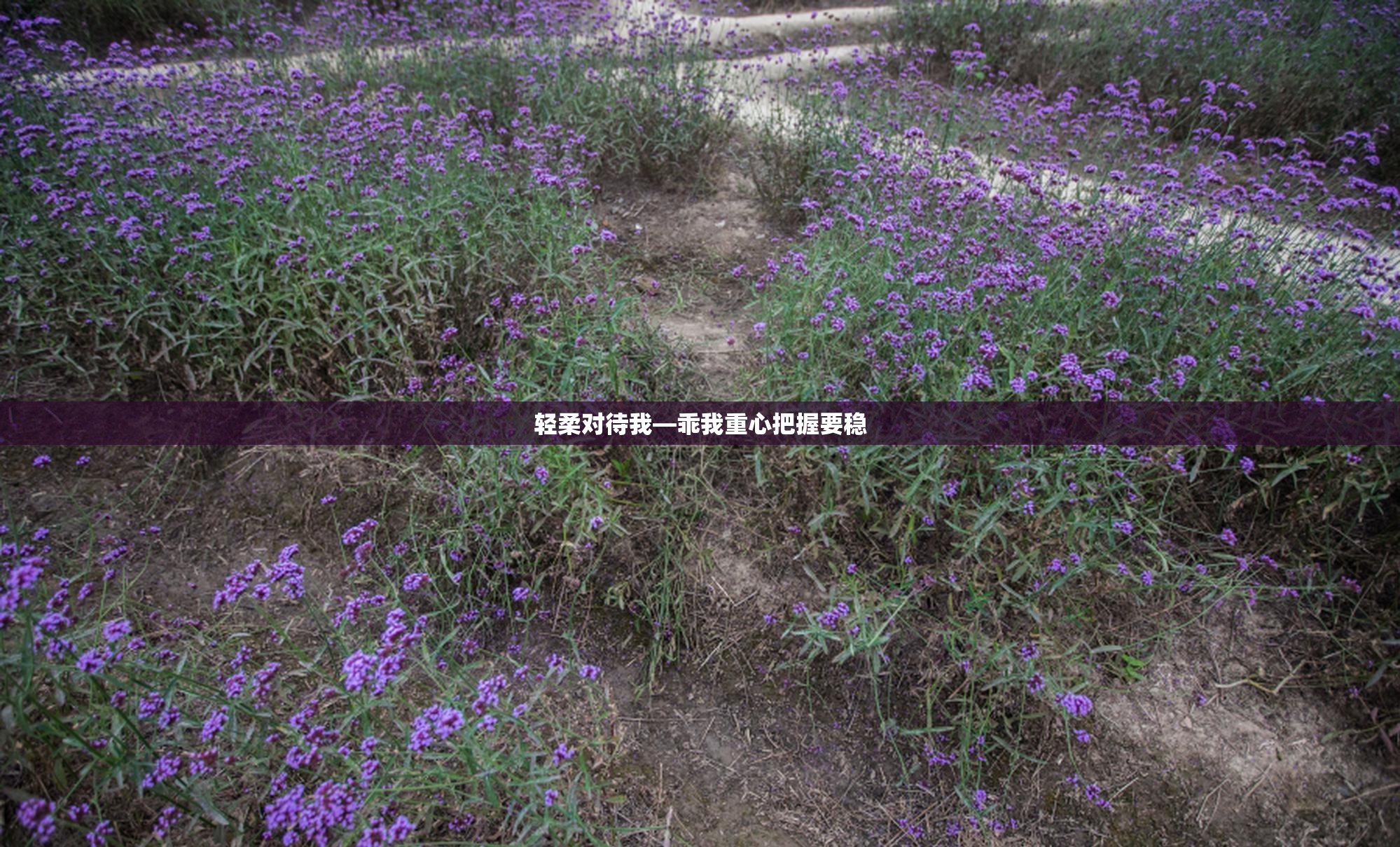 轻柔对待我—乖我重心把握要稳