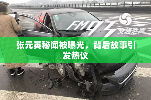 张元英秘闻被曝光，背后故事引发热议