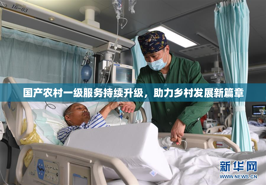 国产农村一级服务持续升级，助力乡村发展新篇章