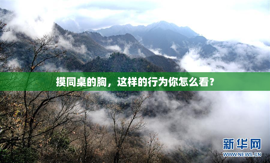 摸同桌的胸，这样的行为你怎么看？
