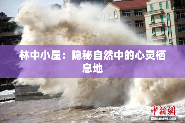 林中小屋：隐秘自然中的心灵栖息地