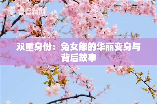 双重身份：兔女郎的华丽变身与背后故事
