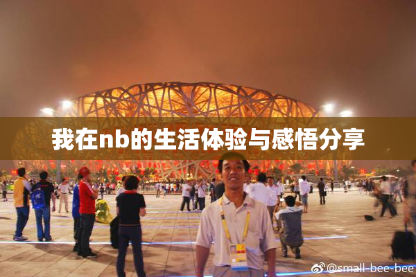 我在nb的生活体验与感悟分享