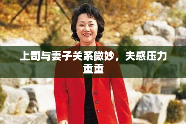 上司与妻子关系微妙，夫感压力重重