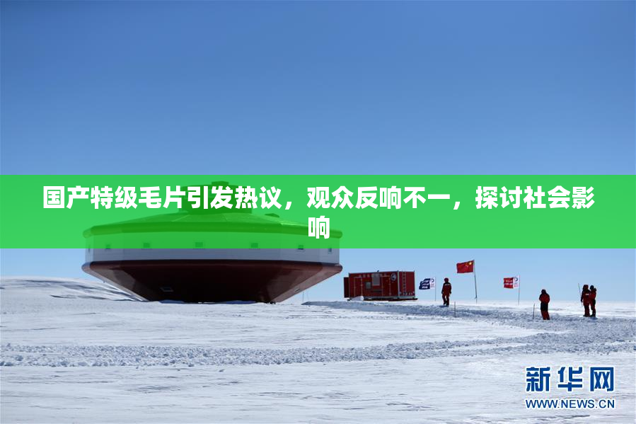 国产特级毛片引发热议，观众反响不一，探讨社会影响